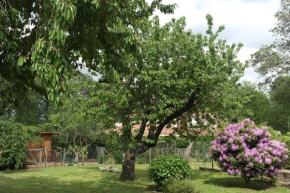 Отель B&B Viale dei Pini  Рокка Приора